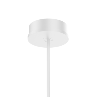 Clea suspended 2.0 hanglamp Wever &amp; Ducre 