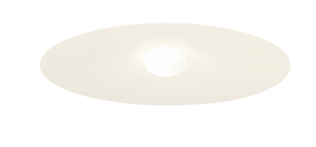 Clea 3.0 plafondlamp Wever & Ducre 